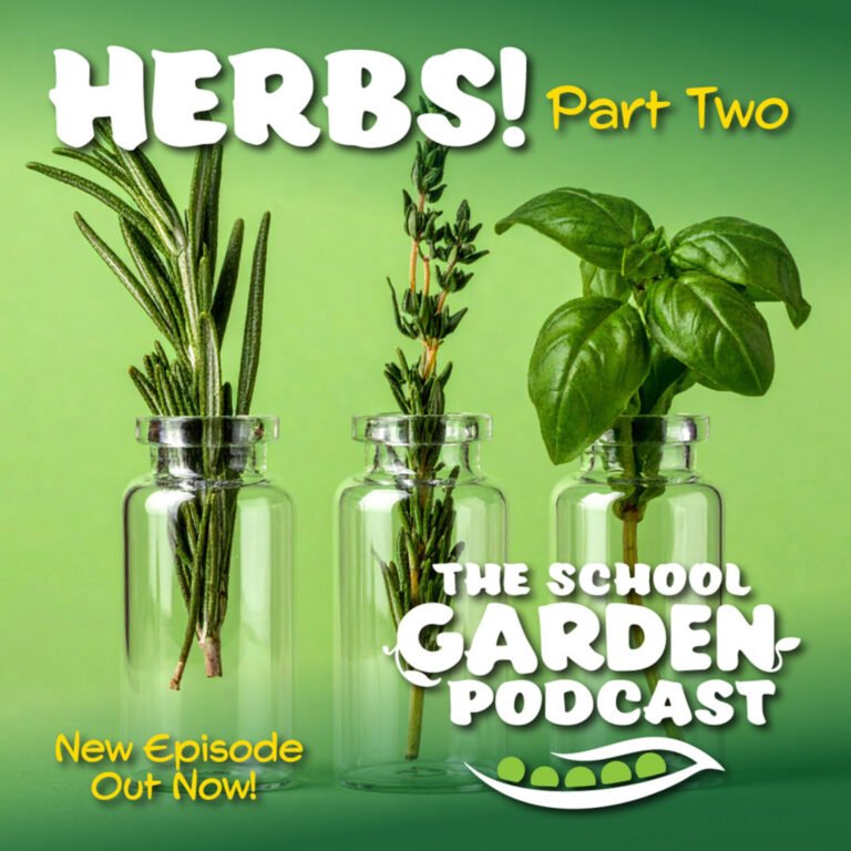 Season 3: Ep 4: Herbs-More Than Flavor in our School Gardens Part 2